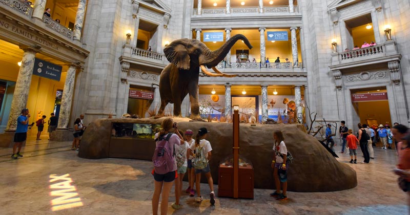 Museos que no puedes dejar de visitar en Washington