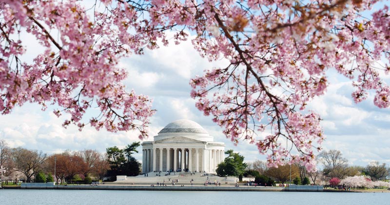 Qué hacer en Washington DC en Primavera